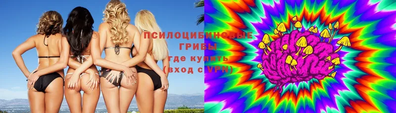 Псилоцибиновые грибы прущие грибы  Губаха 